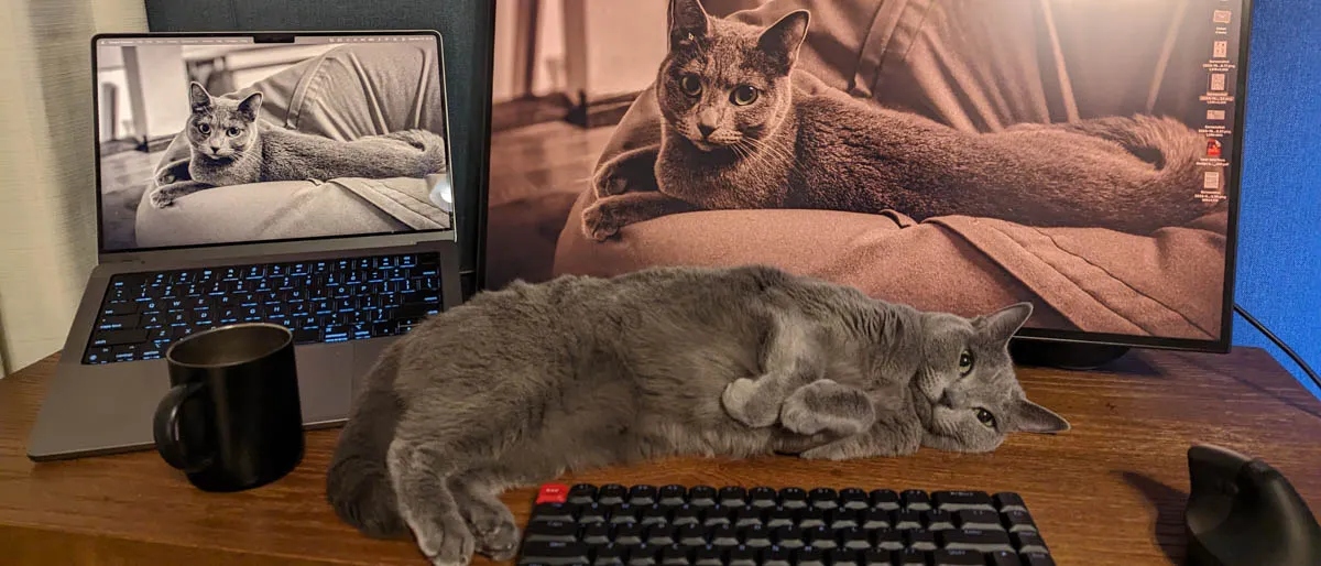 現実のレイアウト