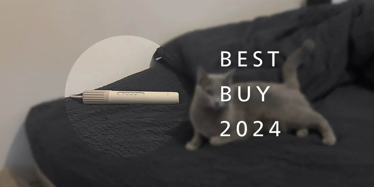 Best Buy 2024