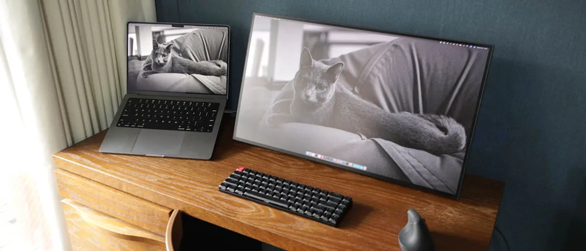 理想のレイアウト