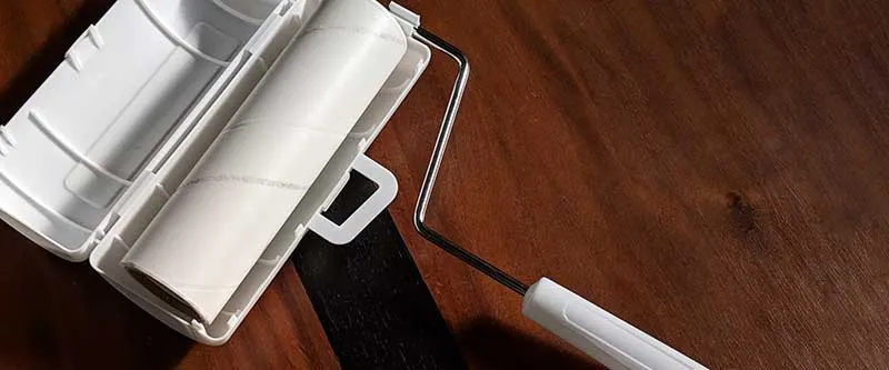 Iris Ohyama carpet cleaner