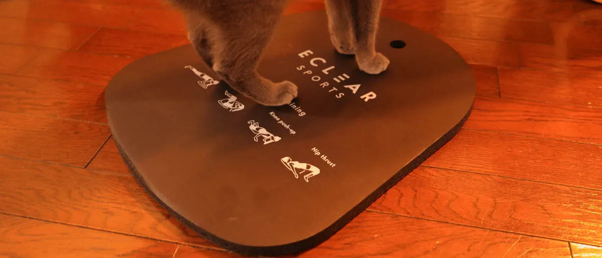 エレコム トレーニングマット